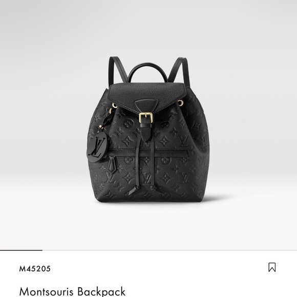Louis Vuitton backpack - Picture 1 of 8